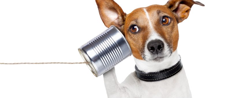 Učinkovita komunikacija